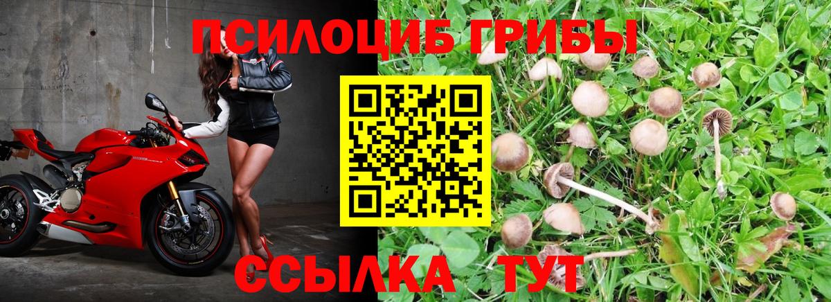 Псилоцибиновые грибы MAGIC MUSHROOMS Кубинка
