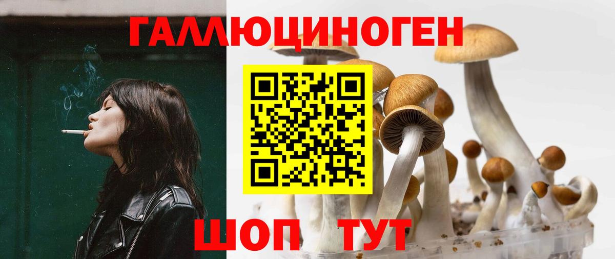 Кубинка  Псилоцибиновые грибы Psilocybine cubensis  Вход с VPN 